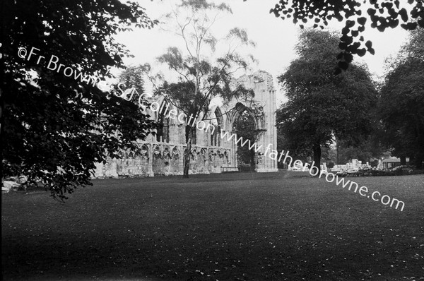 ST MARY'S ABBEY : THE RUINS